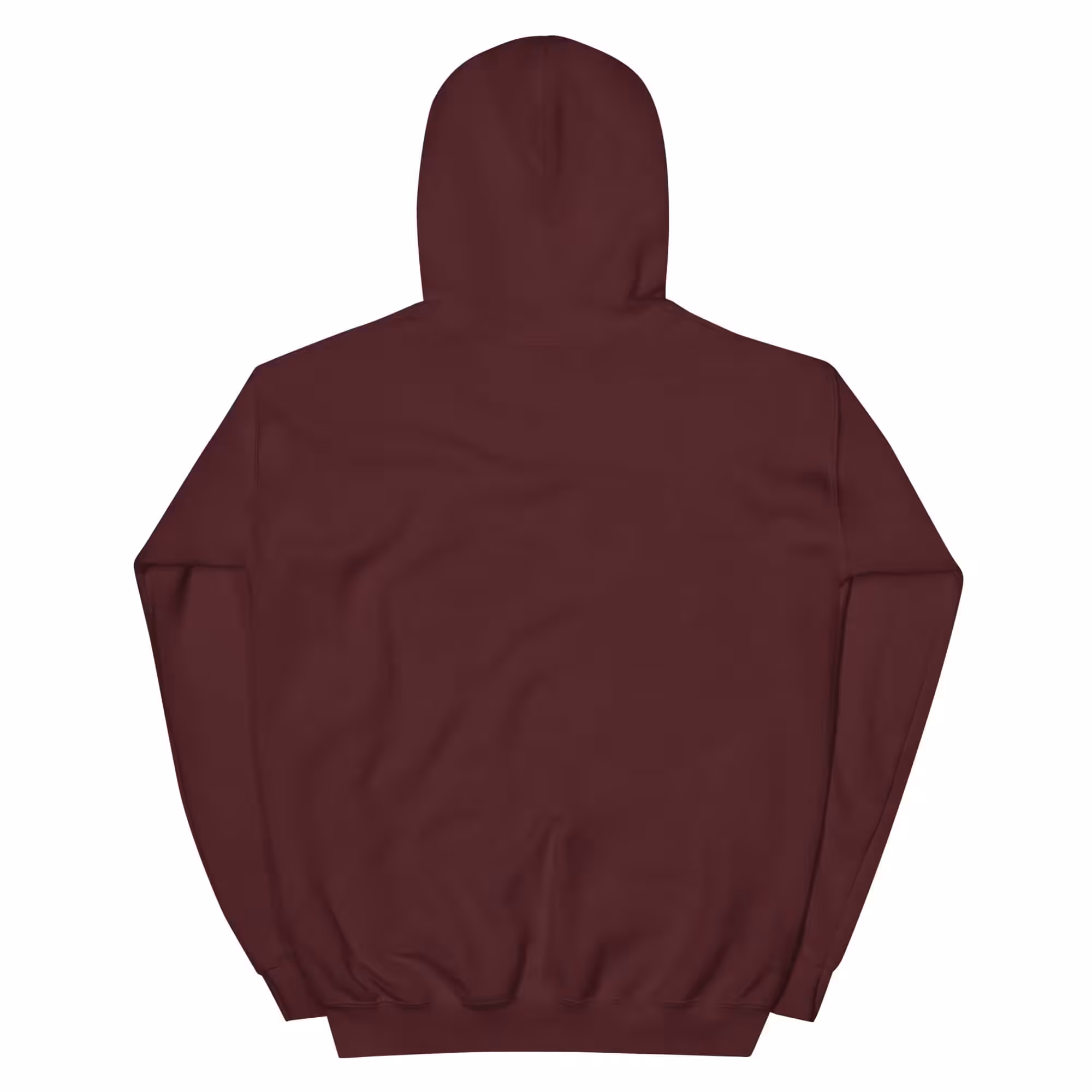 "Born in Connecticut" Retro Unisex Hoodie - Image 6